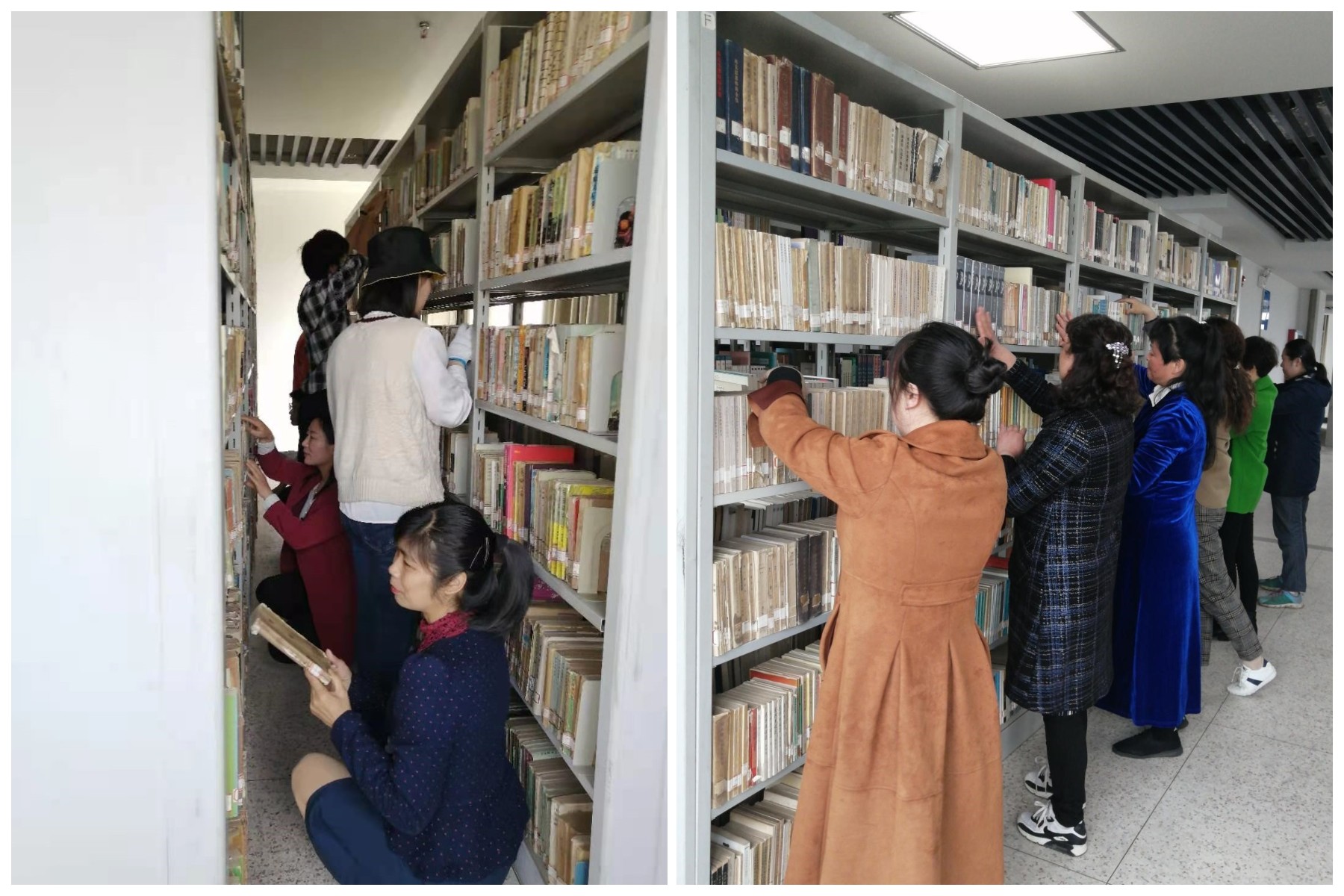 遗传育种生理生物学《广西植物》期刊：投稿发表论文难度及要求