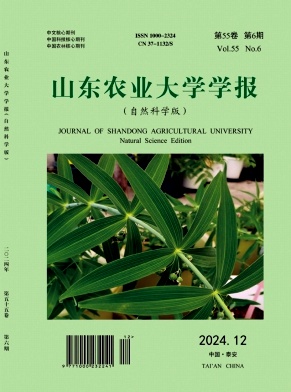 55a152b3a788ee93c40280864ae4f4ae_SCHO.jpg