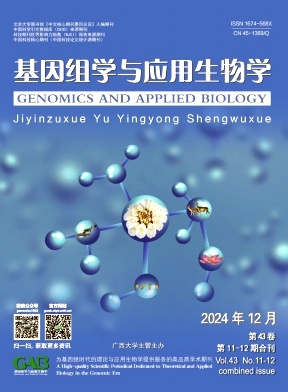 1dc028580fc539b68738790dd9807e19_gxnb.jpg