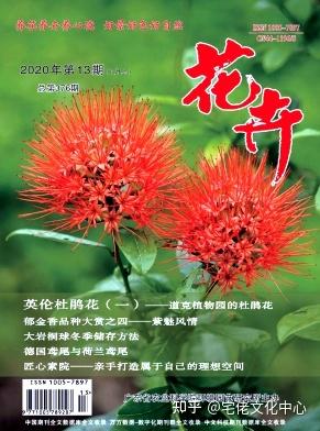 v2-10c118955bbd419fb94b80efb6b16428_1440w (1).jpg